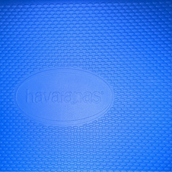 NWT Havaianas Blue Zippered Rubber Case with strap - Picture 2 of 4